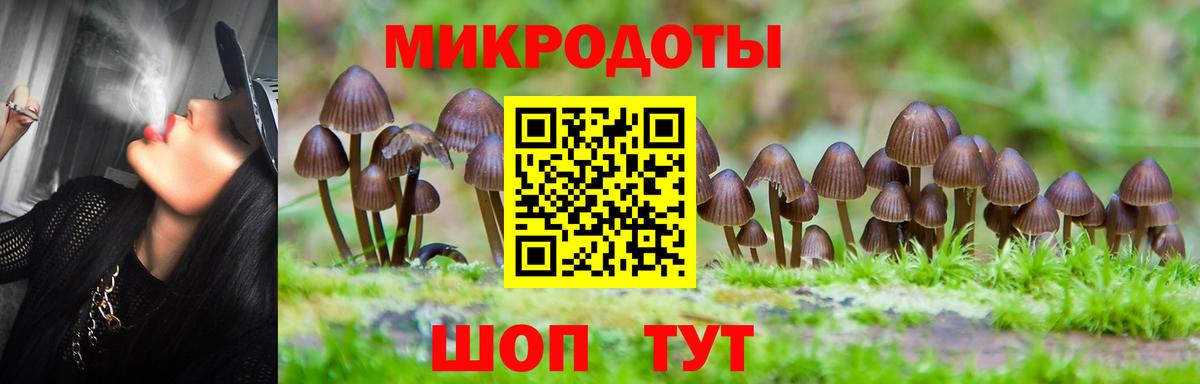 Псилоцибиновые грибы ЛСД Строитель